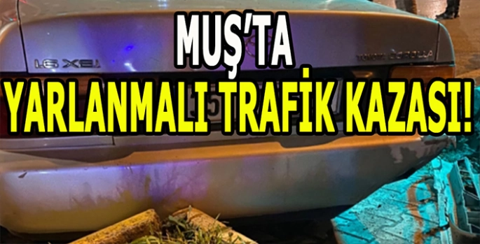 Muş’ta trafik kazası: 1 Kişi yaralandı!