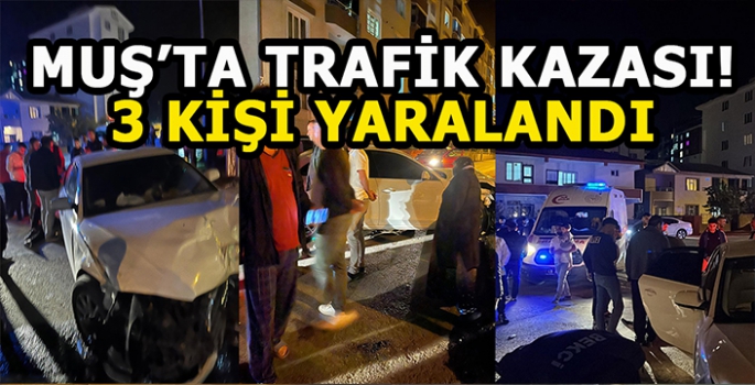 Muş’ta trafik kazası: 3 Kişi yaralandı!
