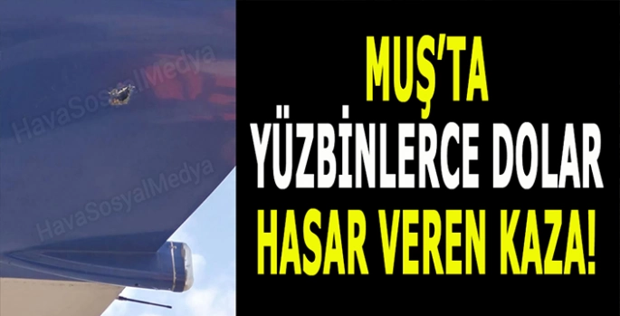 Muş’ta uçağa çarptı: Yüzbinlerce dolar hasara yol açtı!