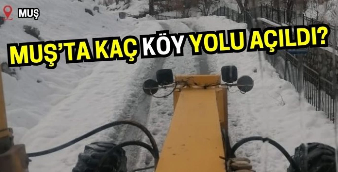 Muş'ta ulaşıma açılan köy yolları ne aşamada? Son rakamlar belli oldu! 