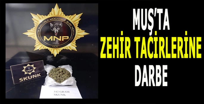 Muş'ta uyuşturucu tacirlerine darbe!