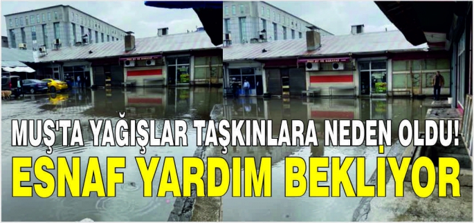Muş’ta yağışlar taşkınlara neden oldu! Esnaf yardım bekliyor