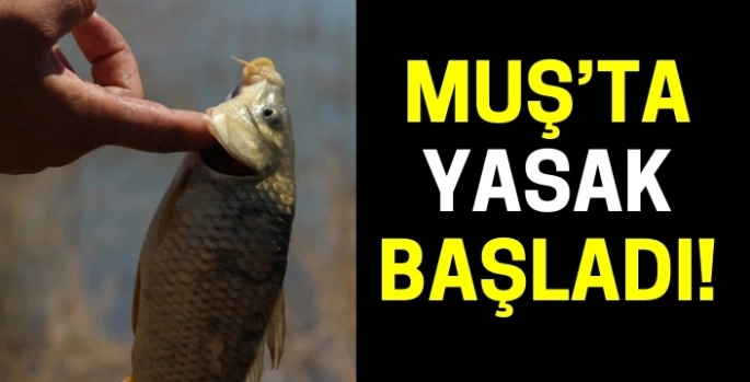 Muş’ta yasak başladı: 15 Ağustos’a kadar devam edecek!