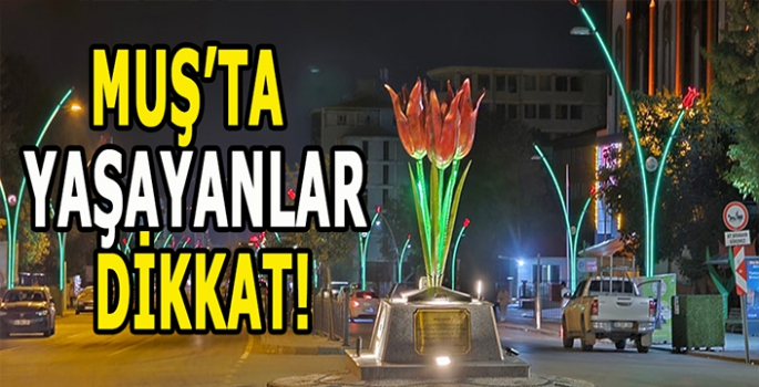 Muş’ta yaşayanlar dikkat: Bazı bölgelerde enerji kesintisi yaşanacak!