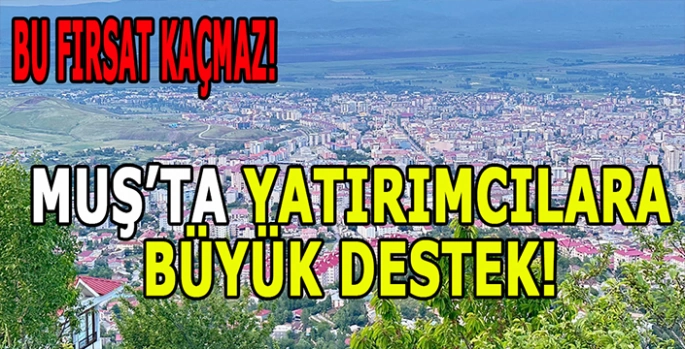 Muş’ta yatırımcılara büyük destek: 4 Farklı yatırım imkanı!