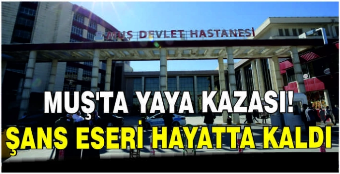 Muş’ta yaya kazası: Şans eseri hayatta kaldı