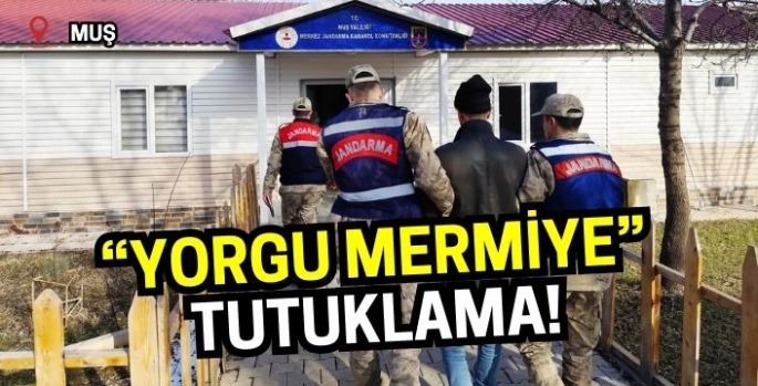 Muş'ta 'yorgun mermi'ye tutuklama kararı çıktı!