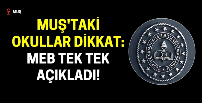Muş'taki okullar dikkat: MEB proje kriterlerini tek tek açıkladı!