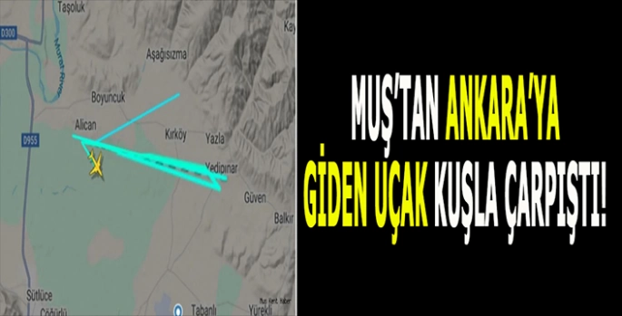 Muş’tan Ankara’ya giden uçak kuşla çarpıştı: Sefer ertelendi!