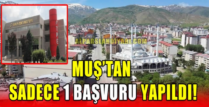 Muş'tan sadece 1 başvuru yapıldı!