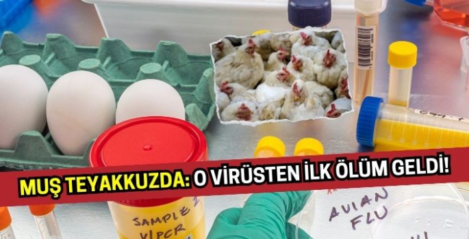 Muş teyakkuzda:  A(H5N2) nedeniyle ilk ölüm gerçekleşti!