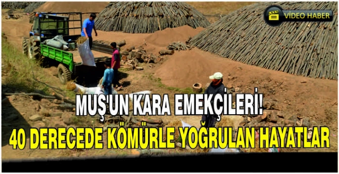 Muş’un kara emekçileri: 40 derecede kömürle yoğrulan hayatlar