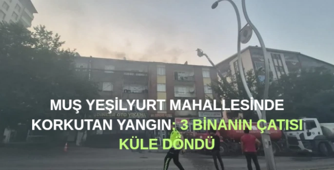 Muş Yeşilyurt Mahallesi'nde korkutan yangın: 3 binanın çatısı küle döndü