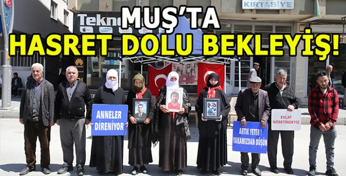 Muşlu aileler evlat nöbetinde: Bu hasretlik artık bitsin!