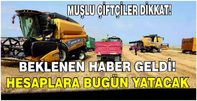 Muşlu çiftçiler dikkat! Beklenen haber geldi hesaplara bugün yatacak