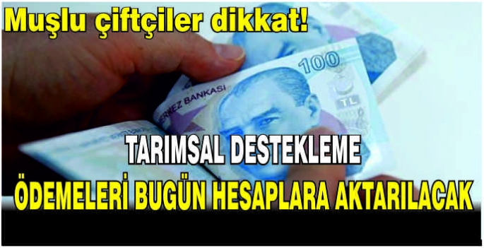 Muşlu çiftçiler dikkat! Tarımsal destekleme ödemeleri bugün hesaplara aktarılacak