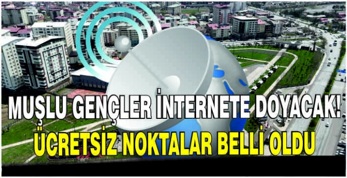 Muşlu gençler internete doyacak! Ücretsiz noktalar belli oldu