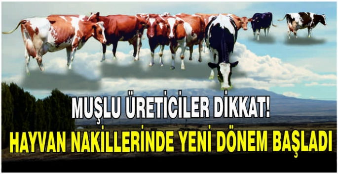 Muşlu üreticiler dikkat! Hayvan nakillerinde yeni dönem başladı