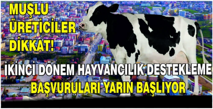 Muşlu üreticiler dikkat! İkinci dönem hayvancılık destekleme başvuruları yarın başlıyor