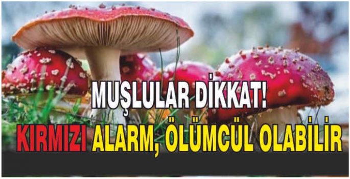 Muşlular dikkat! Kırmızı alarm, ölümcül olabilir?
