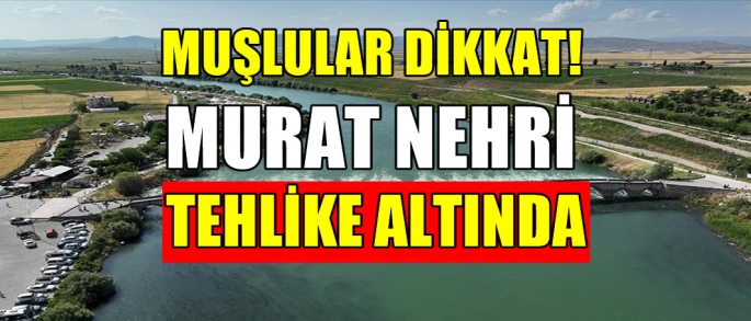 Muşlular dikkat! Murat nehri tehlike altında: Yüzlerce ton kimyasal... 