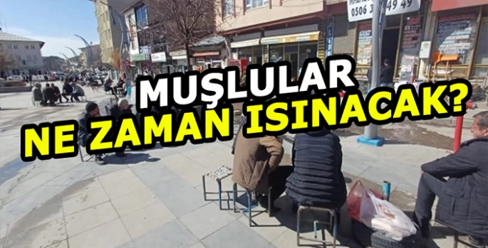 Muşlular ısınmak istiyor: Muş'a bahar ne zaman gelecek?