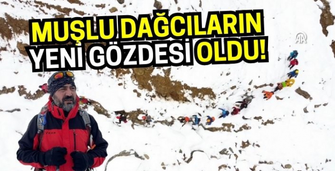 Muşluların dağ tercihi Tunceli zirveleri oldu! 