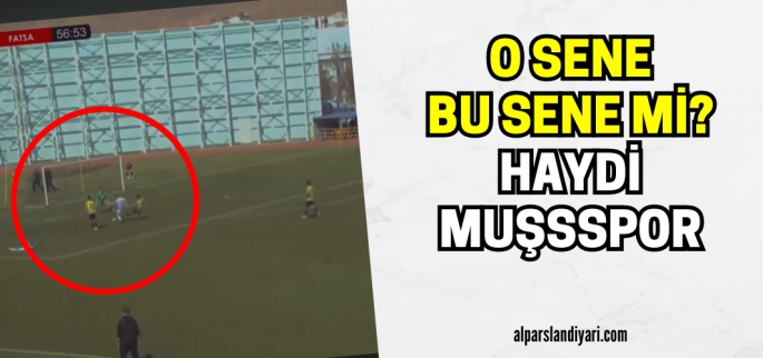 Muşspor transfer çalışmalarını hızlandırdı: Gol makinası Muş spor'a geldi!