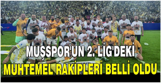 Muşspor’un 2. Lig'deki muhtemel rakipleri belli oldu