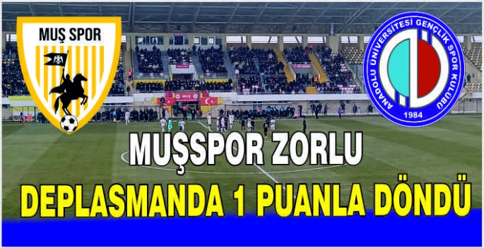 Muşspor zorlu deplasmanda 1 puanla döndü