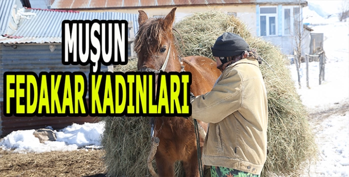 Muşun fedakâr kadınları: Tüm işler kadınların sırtında!