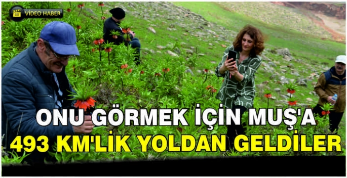 Onu görmek için Muş’a 493 km’lik yoldan geldiler