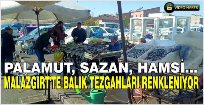 Palamut, Sazan, Hamsi... Malazgirt’te balık tezgahları renkleniyor