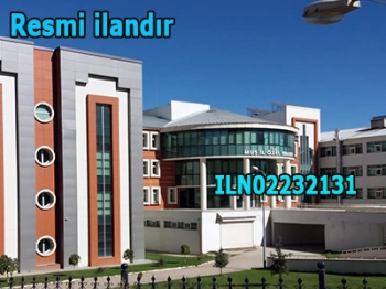 Sanat Yapıları Yapımı İşi