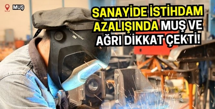 Sanayide istihdam azalışında Muş ve Ağrı dikkat çekti! 