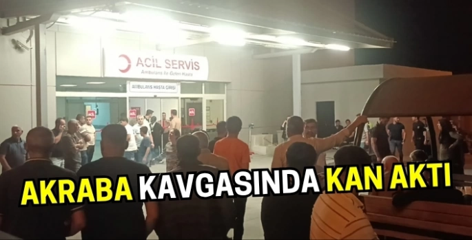 Şanlıurfa'da akraba kavgasında kan aktı: 2 ölü çok sayıda yaralı var!