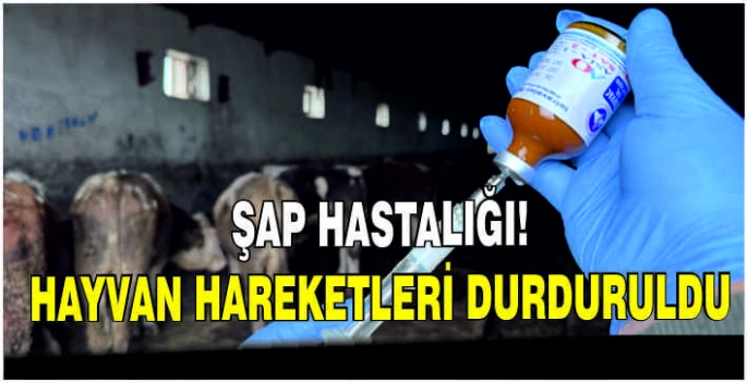 Şap hastalığı: Hayvan hareketleri durduruldu