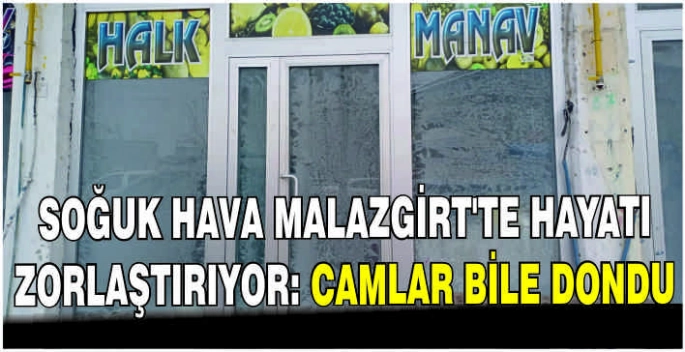 Soğuk hava Malazgirt’te hayatı zorlaştırıyor: Camlar bile dondu