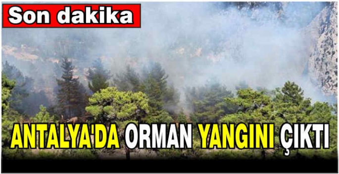 Son dakika! Antalya'da orman yangını çıktı
