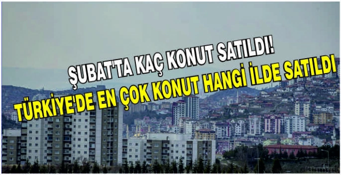 Şubat’ta kaç konut satıldı! Türkiye'de en çok konut hangi ilde satıldı