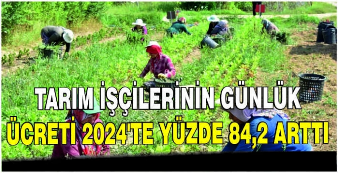 Tarım işçilerinin günlük ücreti 2024'te yüzde 84,2 arttı