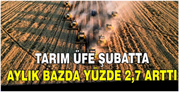 Tarım ÜFE şubatta aylık bazda yüzde 2,7 arttı