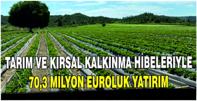 Tarım ve kırsal kalkınma hibeleriyle 70,3 milyon euroluk yatırım