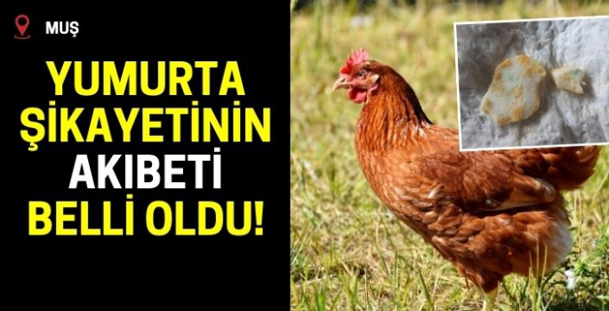 Tarımdan yumurta şikayeti hakkında açıklama: İnsan sağlığını tehdit ediyor mu?