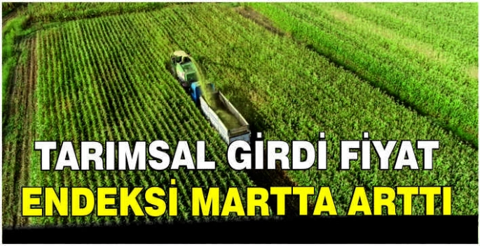 Tarımsal girdi fiyat endeksi martta arttı