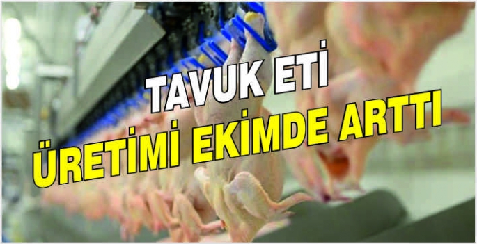 Tavuk eti üretimi ekimde arttı