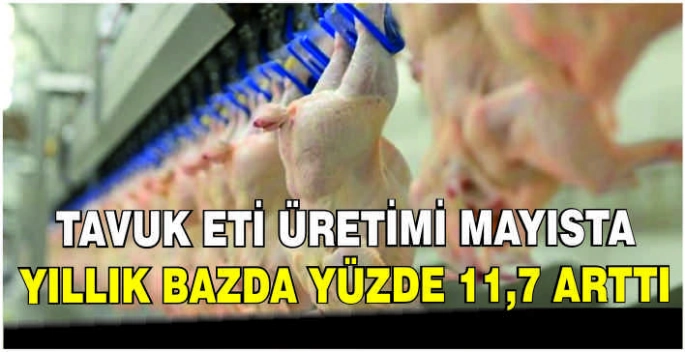 Tavuk eti üretimi mayısta yıllık bazda yüzde 11,7 arttı