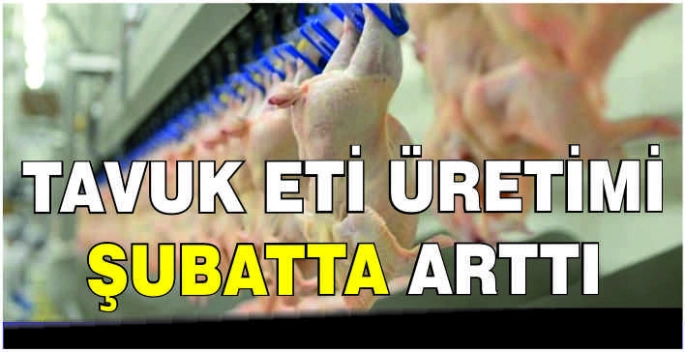 Tavuk eti üretimi şubatta arttı