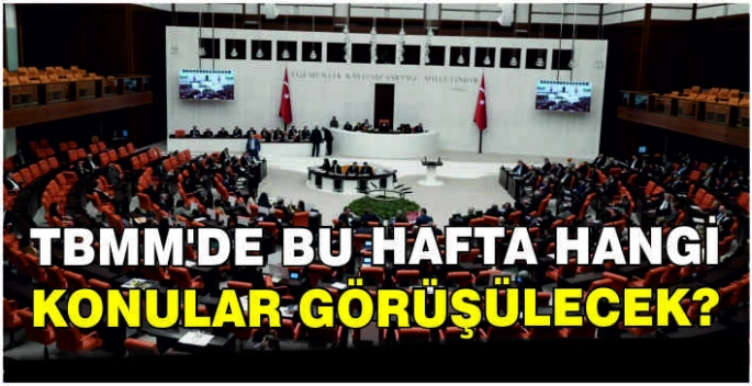 TBMM'de bu hafta hangi konular görüşülecek?