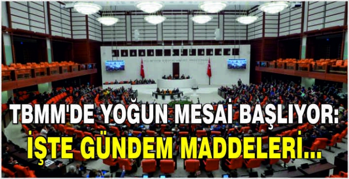 TBMM'de yoğun mesai başlıyor: İşte gündem maddeleri...